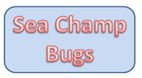 Sea Champ Bugs