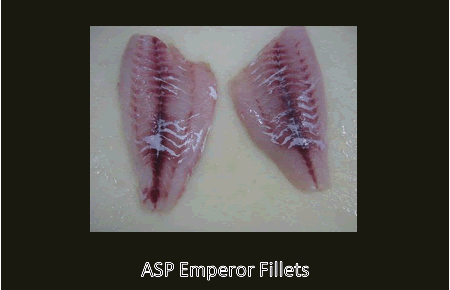 Emperor Fillets 03